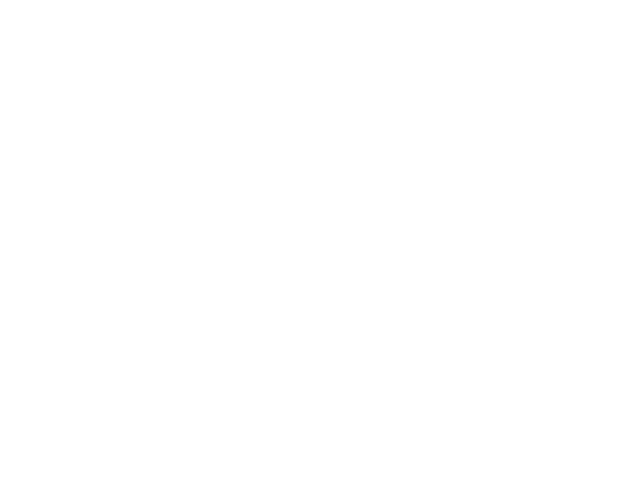 EXTRA STORY